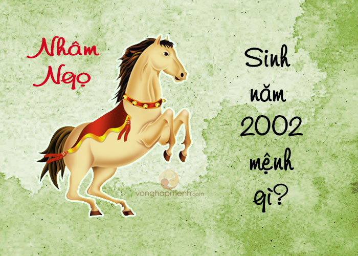 Sinh Năm 2002 Mệnh Gì? Giải Mã Bí Ẩn Tuổi Nhâm Ngọ