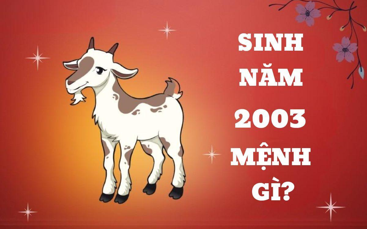 Tuổi Quý Mùi sinh năm 2003 mệnh gì, cung gì, tuổi con gì?