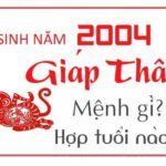 2004 Mệnh Gì? Giải Mã Vận Mệnh & Phong Thủy Tuổi Giáp Thân