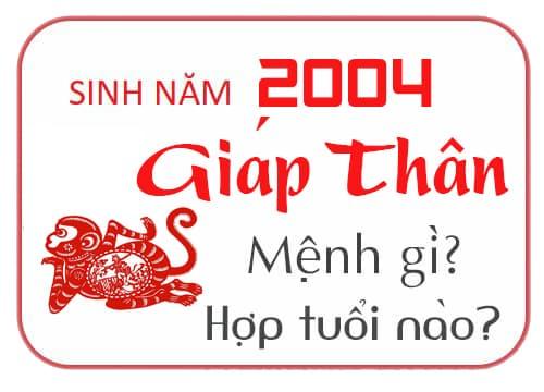 Sinh Năm 2004 Mệnh gì? Hợp Tuổi nào? Tính cách ra sao?