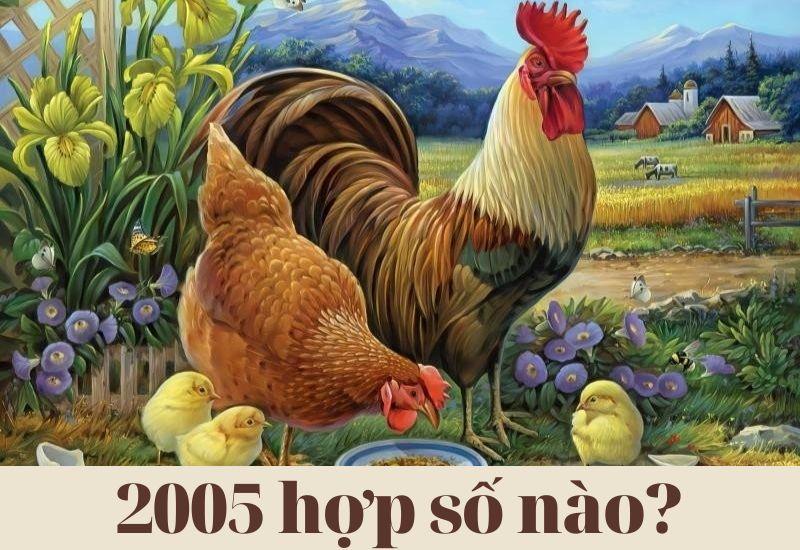 Ât Dậu 2005 hợp số nào? Nam, nữ 2005 hợp số chẵn hay lẻ?