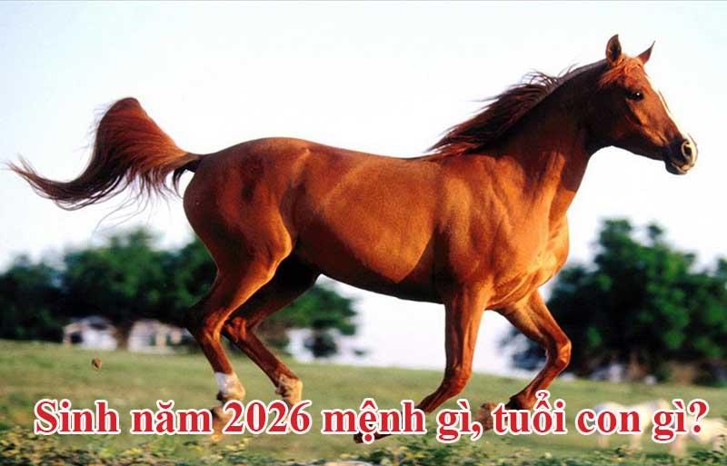 Sinh năm 2026 mệnh gì, tuổi con gì? Dự đoán tương lại vận mệnh người sinh  năm 2026