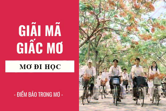 Mơ Đi Học Là Điềm Gì? Giải Mã & 10+ Con Số May Mắn Đổi Đời