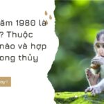 Canh Thân 1980 Mệnh Gì? Bí Mật Vận Mệnh & Phong Thủy Cho Người Tuổi Khỉ