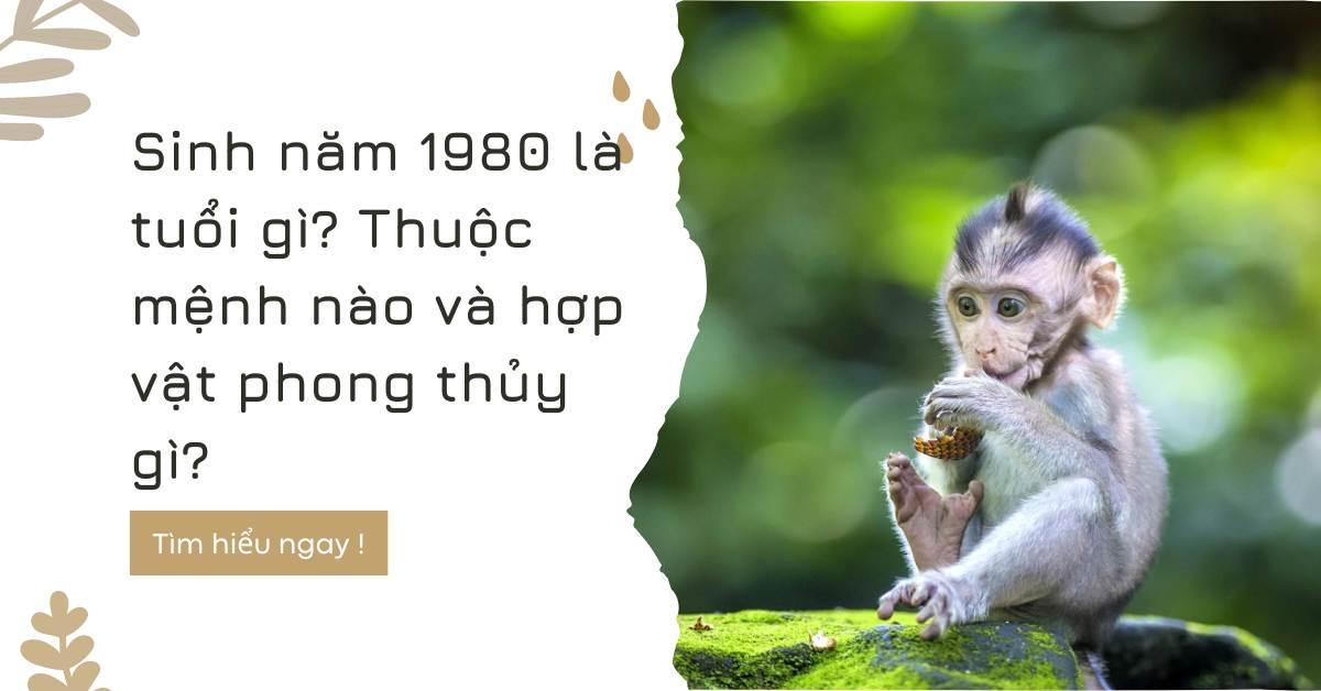 Người sinh năm 1980 thuộc mệnh gì ? Vật phong thủy hợp tuổi Canh Thân