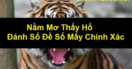 Mơ Thấy Hổ? Đừng Sợ! Giải Mã Bí Ẩn & "Săn" Ngay Con Số May Mắn