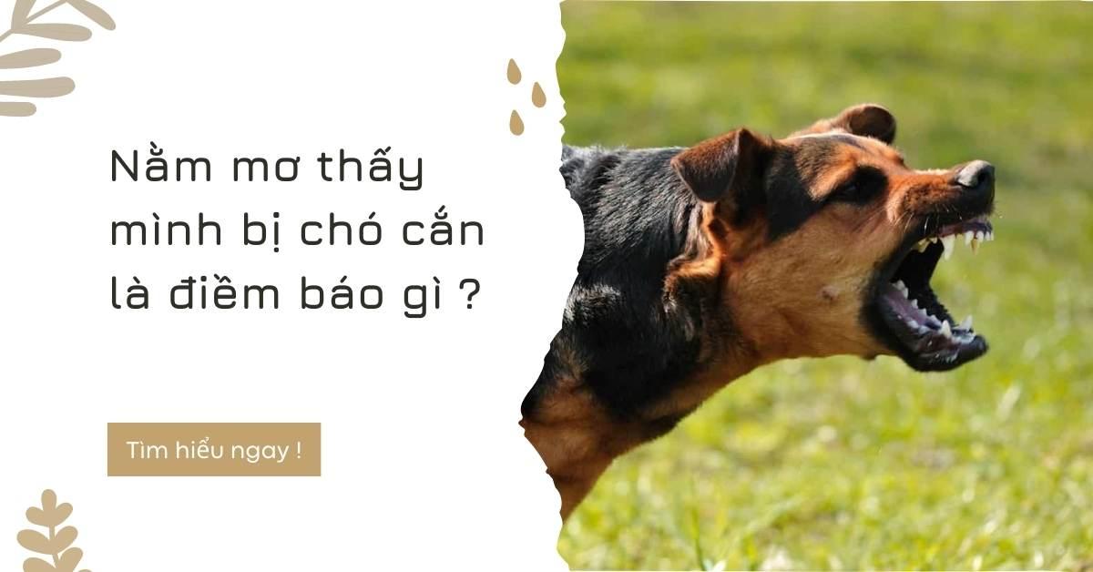 Nằm mơ bị chó cắn mang ý nghĩa gì?