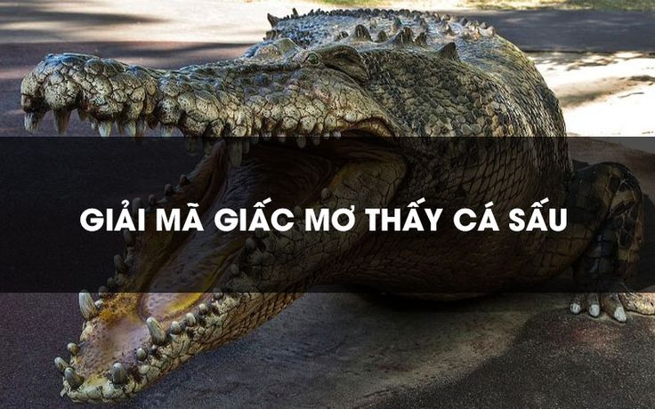 Giải Mã Giấc Mơ Thấy Cá Sấu: 35+ Tình Huống & Con Số May Mắn 🐊