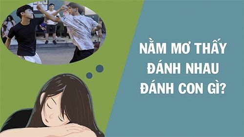 👊 Mơ Thấy Đánh Nhau Với Người Lạ? Đừng Bỏ Qua 5 Điềm Báo & Con Số May Mắn!