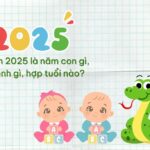 Sinh Con Năm 2025 Mệnh Gì, Tuổi Gì? Chọn Tháng Sinh Đẹp & Hợp Tuổi Bố Mẹ