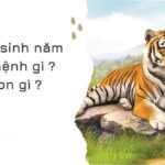 Sinh Năm 1974 Mệnh Gì? Giải Mã Tử Vi & Phong Thủy Tuổi Giáp Dần