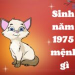 Sinh Năm 1975 Mệnh Gì? Khám Phá Bí Mật Phong Thủy Tuổi Ất Mão