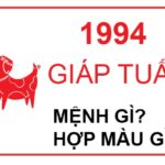 Sinh năm 1994 mệnh gì? Giải mã vận mệnh & bí kíp phong thủy tuổi Giáp Tuất