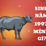 Sinh Năm 1997 Mệnh Gì? Khám Phá Tử Vi & Bí Mật Phong Thủy Đinh Sửu