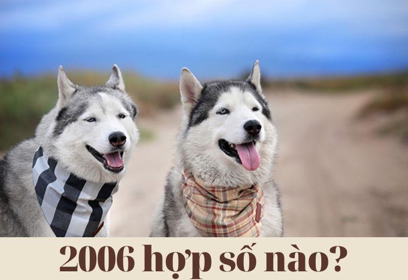 2006 hợp số nào? Nam, nữ Bính Tuất hợp số chẵn hay lẻ?