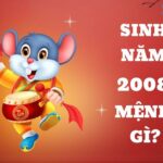 Sinh năm 2008 mệnh gì? Giải mã vận mệnh & phong thủy tuổi Mậu Tý