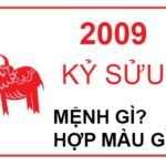 Sinh Năm 2009 Mệnh Gì? Bật Mí Bí Mật Vận Mệnh & Con Đường Tài Lộc!