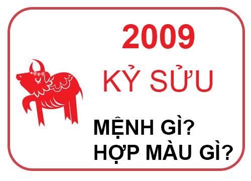 Sinh năm 2009 mệnh gì? Kỷ Sửu hợp với tuổi nào và màu nào?