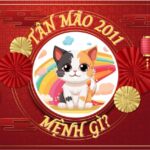 Sinh Năm 2011 Mệnh Gì? Giải Mã Tử Vi & Phong Thủy Tuổi Tân Mão