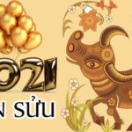 Sinh Năm 2021 Mệnh Gì? Bật Mí Tử Vi Cho Bé Tân Sửu