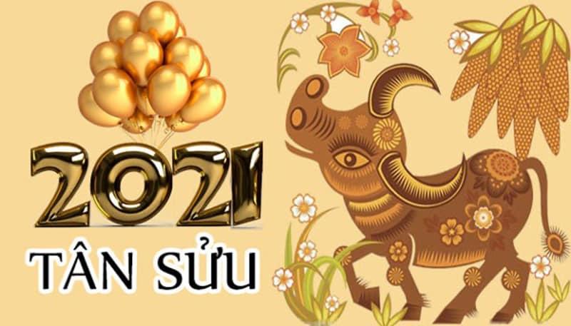 Sinh Năm 2021 Tuổi Con Gì? Mệnh Gì?Hợp Màu Gì?Hợp Với Ai? | Mekoong