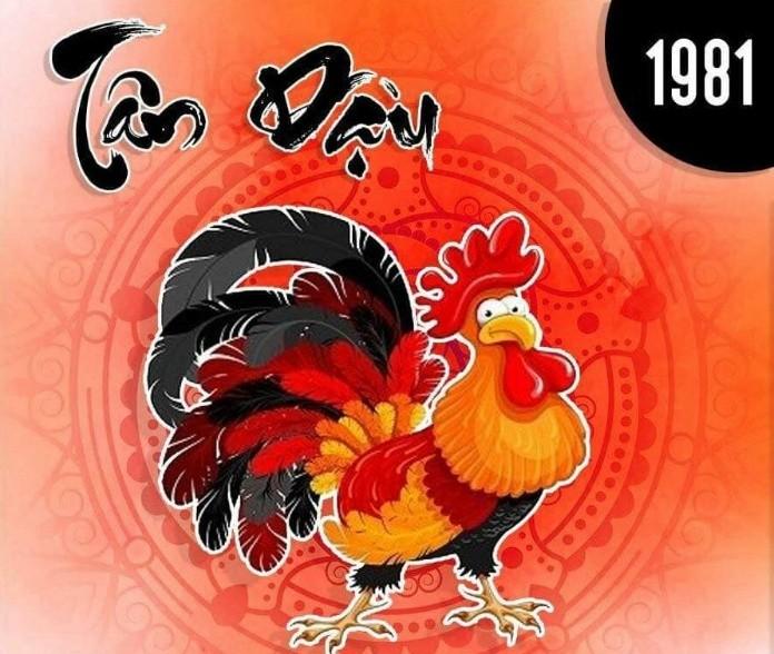 Tử vi tuổi Tân Dậu 1981 mệnh gì, cung gì, tuổi con gì? Vận Mệnh ra sao?