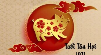 Sinh Năm 1971 Mệnh Gì? Bí Mật Về Tuổi Tân Hợi & Phong Thuỷ Hợp Mệnh