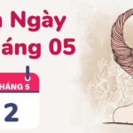 2/5 Cung Gì? Bật mí Tính Cách, Tình Yêu & Sự Nghiệp Kim Ngưu "Cứng Đầu Đáng Yêu"