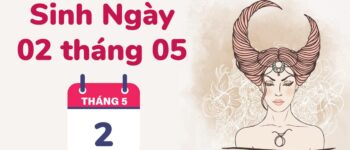 2/5 Cung Gì? Bật mí Tính Cách, Tình Yêu & Sự Nghiệp Kim Ngưu "Cứng Đầu Đáng Yêu"