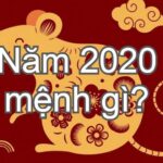 2020 Mệnh Gì? Bí Mật Màu Sắc May Mắn & Phong Thủy