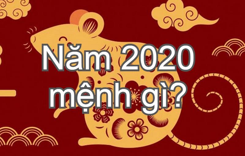 Năm 2020 mệnh gì? Tuổi con gì & những bí ẩn về năm 2020