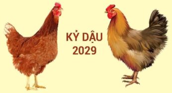 Sinh Năm 2029 Mệnh Gì? Tuổi Kỷ Dậu Hợp Tuổi Nào, Màu Gì, Hướng Nào?