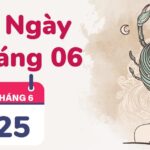 25/6 Cung Gì? Bật Mí Tính Cách & Tình Yêu Của Cự Giải