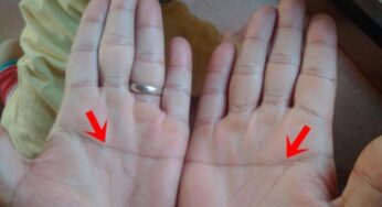 Chỉ Tay Chữ Nhất: Giải Mã Bí Ẩn Tính Cách & Vận Mệnh