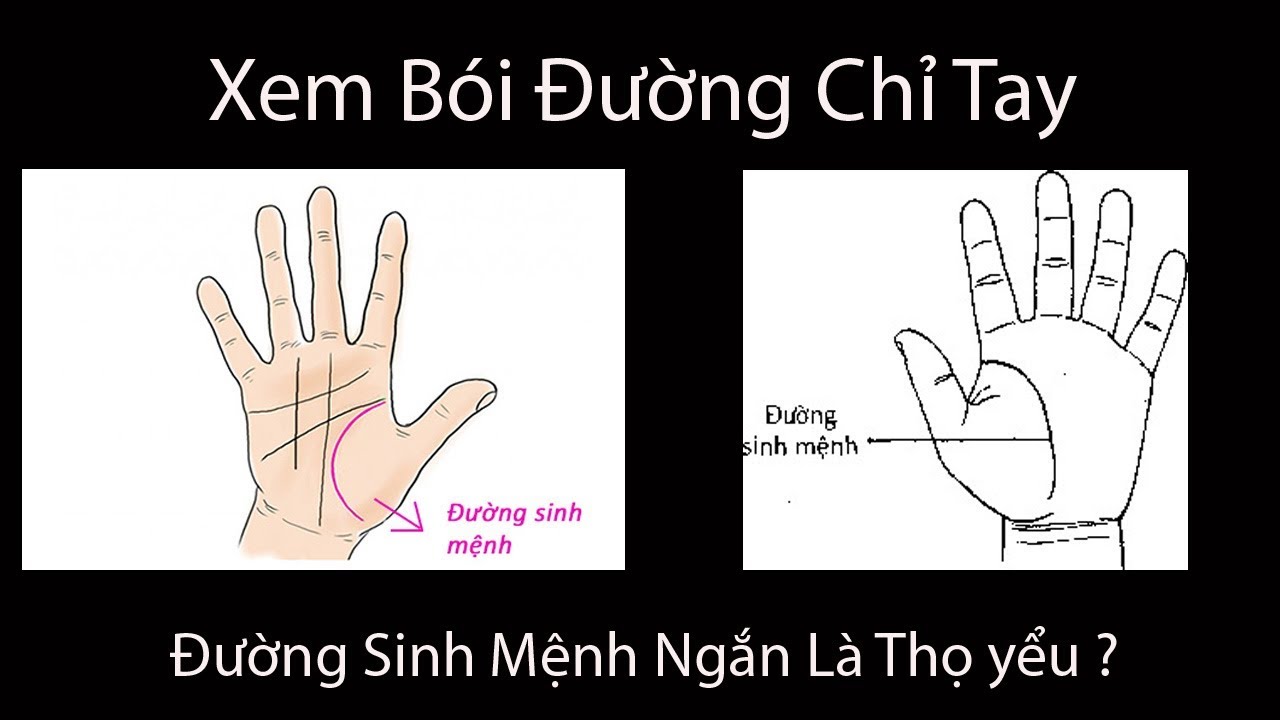 Đường Chỉ Tay Chết Sớm: Sự Thật Hay Chỉ Là Huyền Thoại Dân Gian?