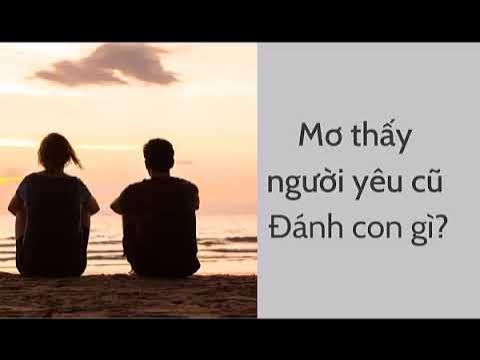 Nằm Mơ Thấy Người Yêu Cũ Nói Chuyện Với Mình? Giải Mã Ẩn Ý & Con Số May Mắn