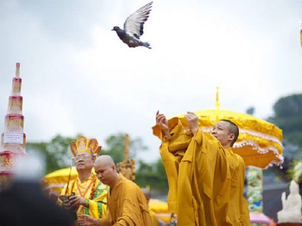 Văn khấn phóng sinh: Cầu bình an, gieo duyên lành