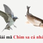 Chim Sa Cá Nhảy Là Điềm Gì? Giải Mã Huyền Thoại & Ý Nghĩa Tâm Linh