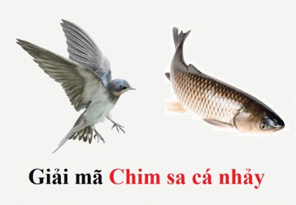 Chim sa tận nơi không bắt, cá nhảy tận bờ không ăn' là vì sao? Lời người  xưa đã dạy, chớ làm sai kẻo có ngày đại họa!