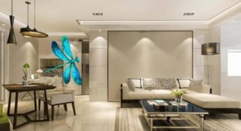 Chuồn Chuồn Bay Vào Nhà Điềm Báo Gì? May Mắn Hay Tai Ương? Giải Mã Ngay!