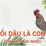 Dậu Là Con Gì? Bật Mí Tính Cách, Vận Mệnh & Bí Mật Phong Thủy