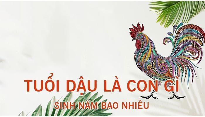 Người tuổi Quý Dậu sinh năm bao nhiêu? Năm nay bao nhiêu tuổi?