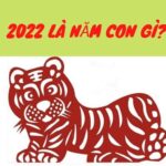 Năm 2022 Là Năm Con Gì? Mệnh Gì? Bật Mí Vận Mệnh 12 Con Giáp & Bí Kíp Đón Lộc Đầu Năm