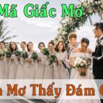 Nằm Mơ Thấy Đám Cưới Người Khác: Giải Mã Điềm Báo & "Bỏ Túi" Ngay Con Số May Mắn!