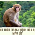 Sinh Năm 1956 Mệnh Gì? Bật Mí Bí Mật Phong Thủy Để Cuộc Sống Hạnh Phúc, Sung Túc!