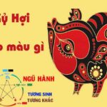 Sinh Năm 1959 Mệnh Gì? Khám Phá Bí Mật Phong Thủy & Tử Vi Tuổi Kỷ Hợi