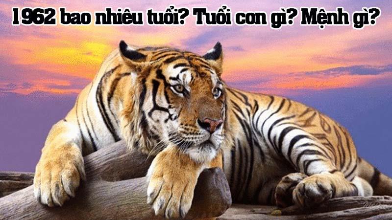 Sinh năm 1962 năm nay bao nhiêu tuổi? Mệnh gì? Tuổi gì?