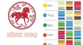 Sinh Năm 1966 Tuổi Gì? Mệnh Gì? Tử Vi & Phong Thủy Bật Mí Vận Mệnh Tuổi Ngọ
