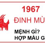 Sinh Năm 1967 Mệnh Gì? Giải Mã Vận Mệnh & Màu Sắc Hợp Tuổi Đinh Mùi