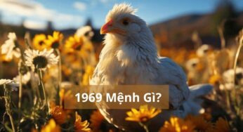 Sinh Năm 1969 Mệnh Gì? Khám Phá Bí Mật Phong Thủy Tuổi Kỷ Dậu!